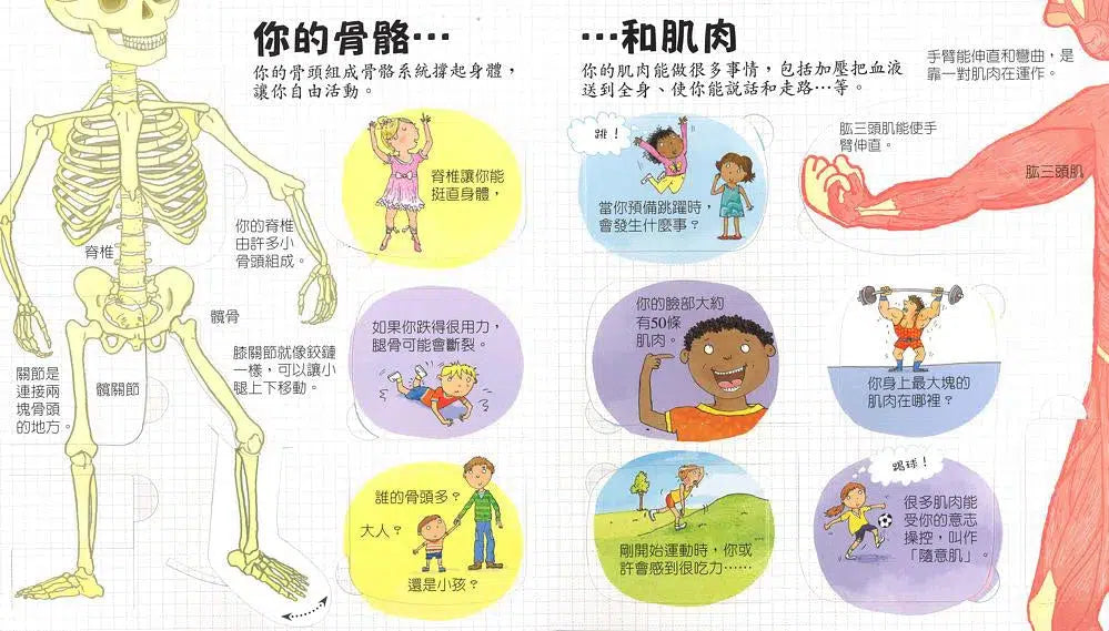 Look inside:探索奇妙的身體 (翻翻書)-非故事: 常識通識 General Knowledge-買書書 BuyBookBook