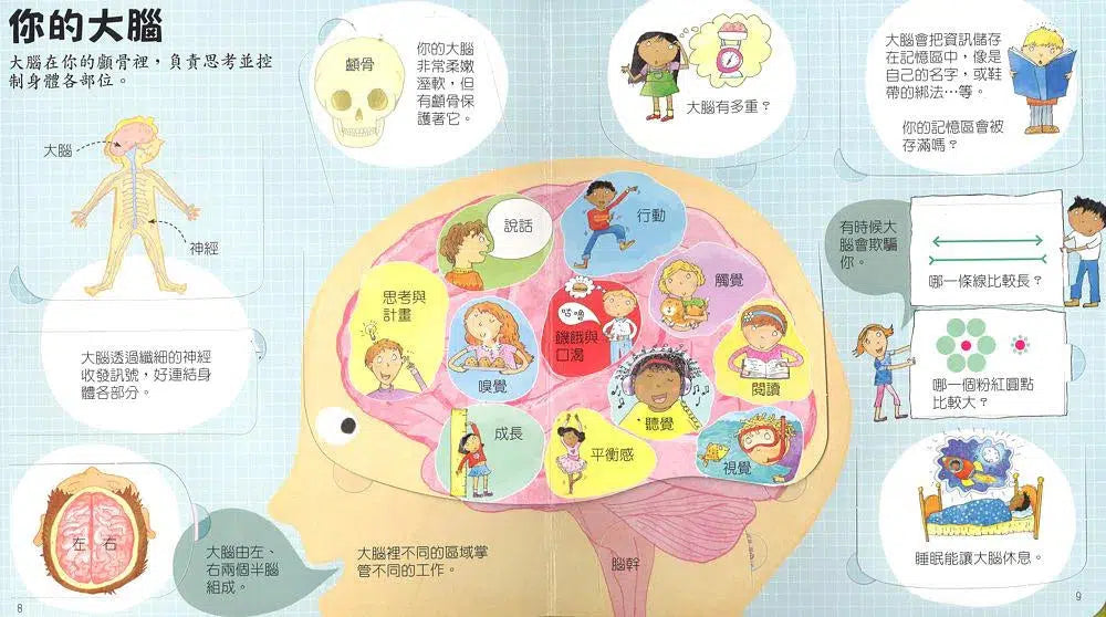 Look inside:探索奇妙的身體 (翻翻書)-非故事: 常識通識 General Knowledge-買書書 BuyBookBook