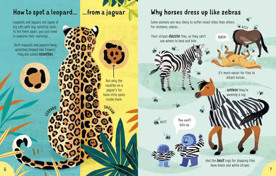 Lots of Things to Know About Animals - 買書書 BuyBookBook