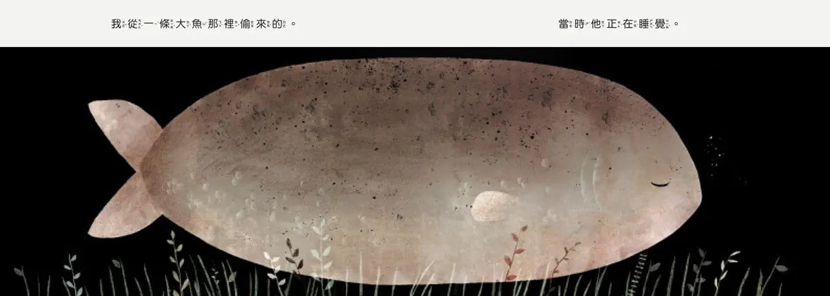 帽子三部曲2:這不是我的帽子(新版)-Children’s / Teenage fiction: Fantasy-買書書 BuyBookBook