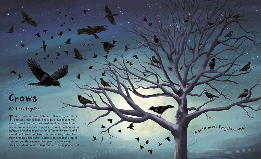 My Animal Family-Children’s / Teenage general interest: Nature and animals-買書書 BuyBookBook