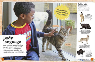 My Book of Cats and Kittens-Nonfiction: 動物植物 Animal & Plant-買書書 BuyBookBook