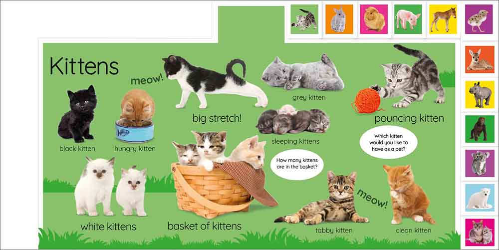 My First Baby Animals-Nonfiction: 動物植物 Animal & Plant-買書書 BuyBookBook