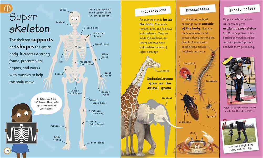 My Very Important Human Body Encyclopedia-Nonfiction: 常識通識 General Knowledge-買書書 BuyBookBook