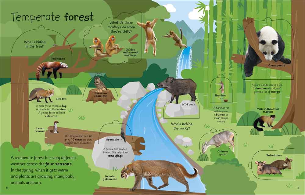 My Very Important Lift-the-Flap Book - Animals-Nonfiction: 常識通識 General Knowledge-買書書 BuyBookBook
