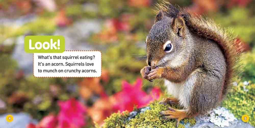 NGK Explore My World A Tree Grows Up - 買書書 BuyBookBook