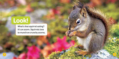 NGK Explore My World A Tree Grows Up - 買書書 BuyBookBook