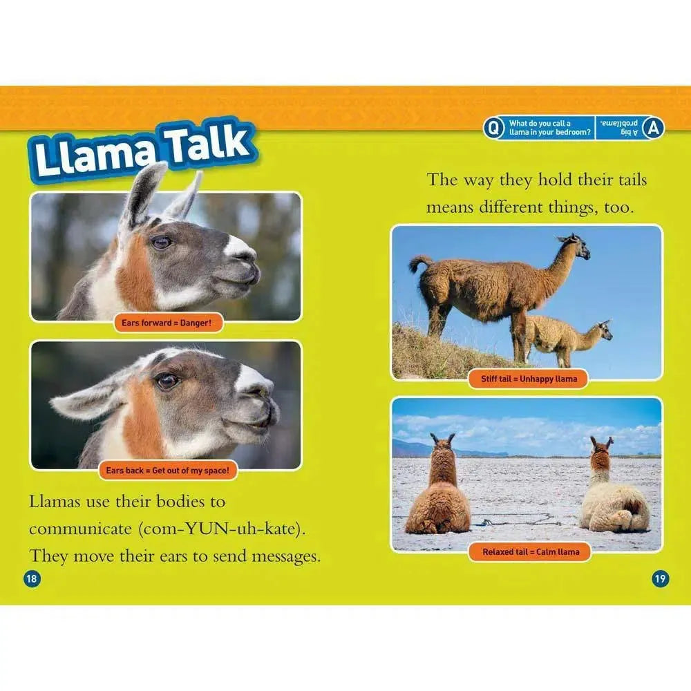 Llamas (L1) (National Geographic Kids Readers) National Geographic