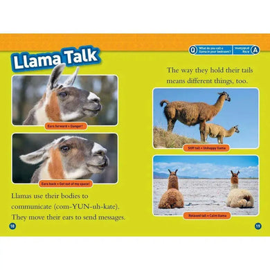 Llamas (L1) (National Geographic Kids Readers) National Geographic