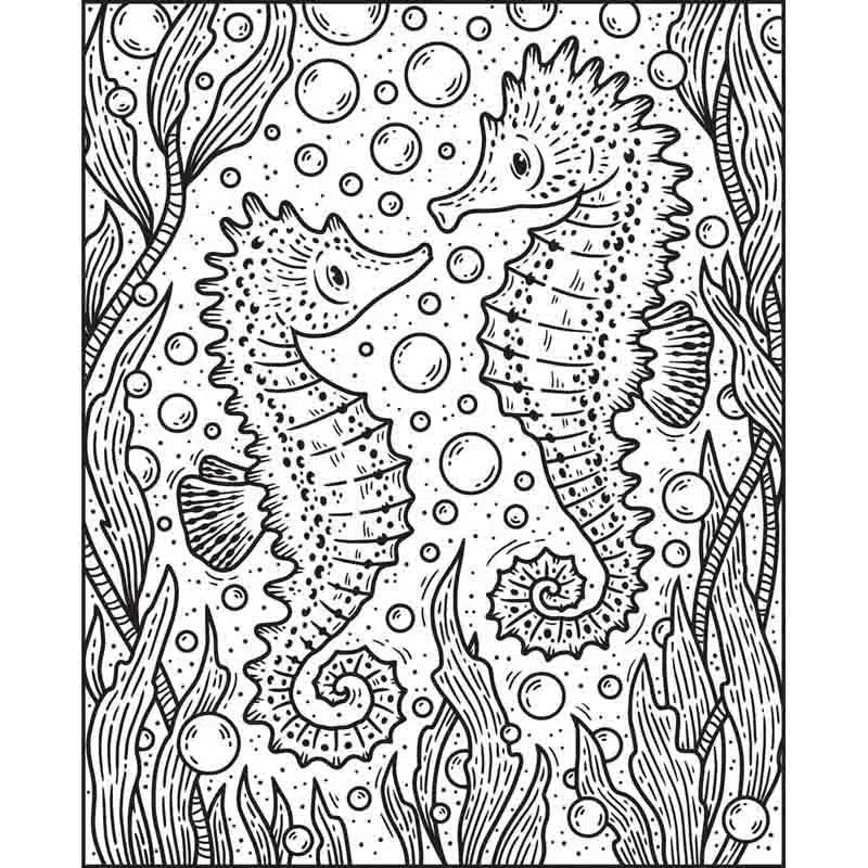 Narwhals and Other Sea Creatures Magic Painting Book Usborne