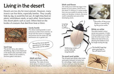 Nature Explorers - Insects and Spiders DK UK