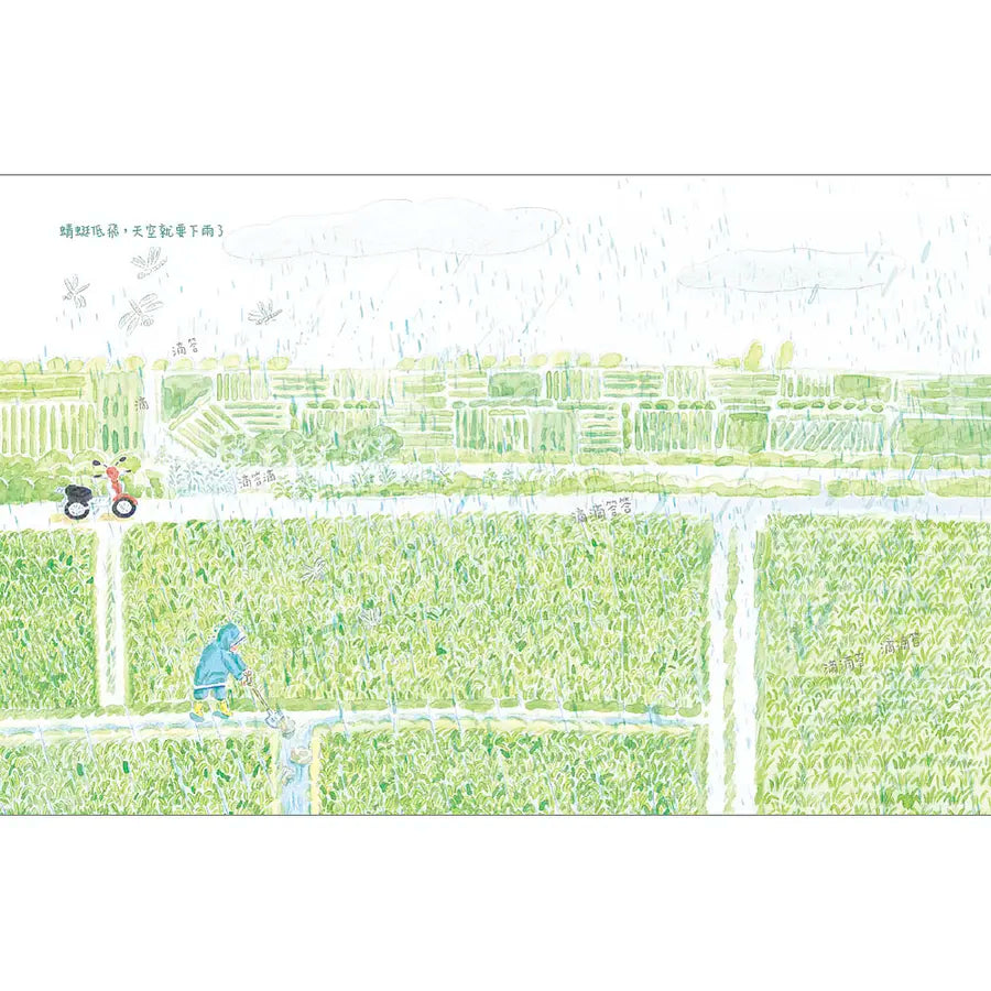 農夫月曆(暢銷加贈.二十四節氣卡)-Children's picture books-買書書 BuyBookBook