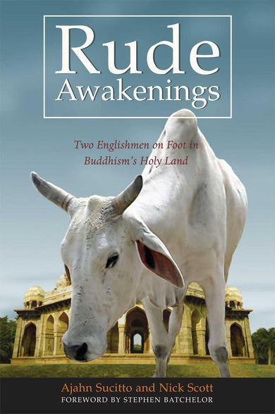 Rude Awakenings-Memoirs-買書書 BuyBookBook