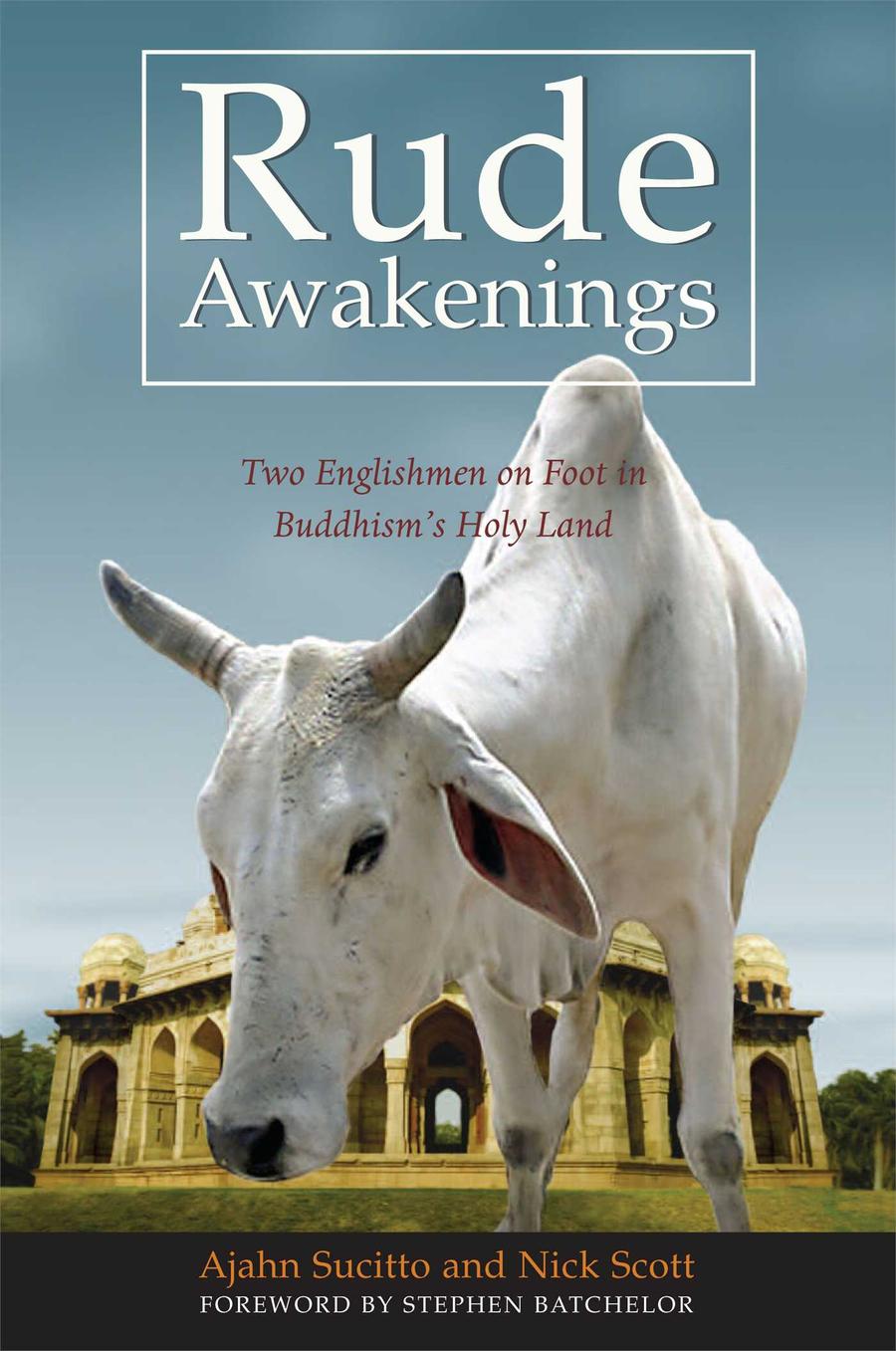 Rude Awakenings-Memoirs-買書書 BuyBookBook