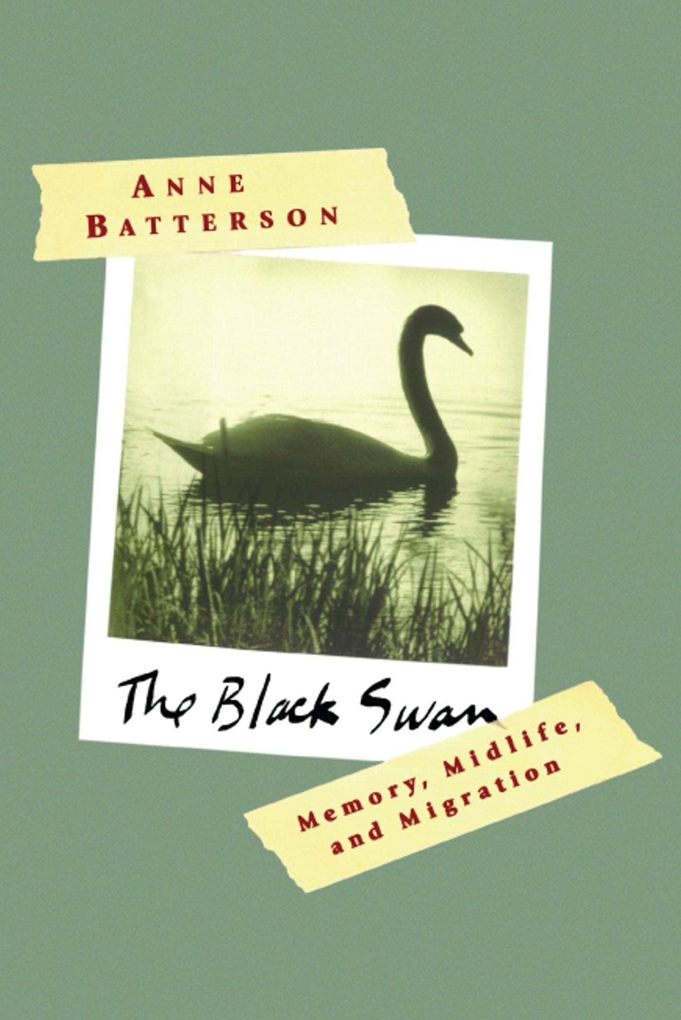 The Black Swan-Biography and memoirs-買書書 BuyBookBook