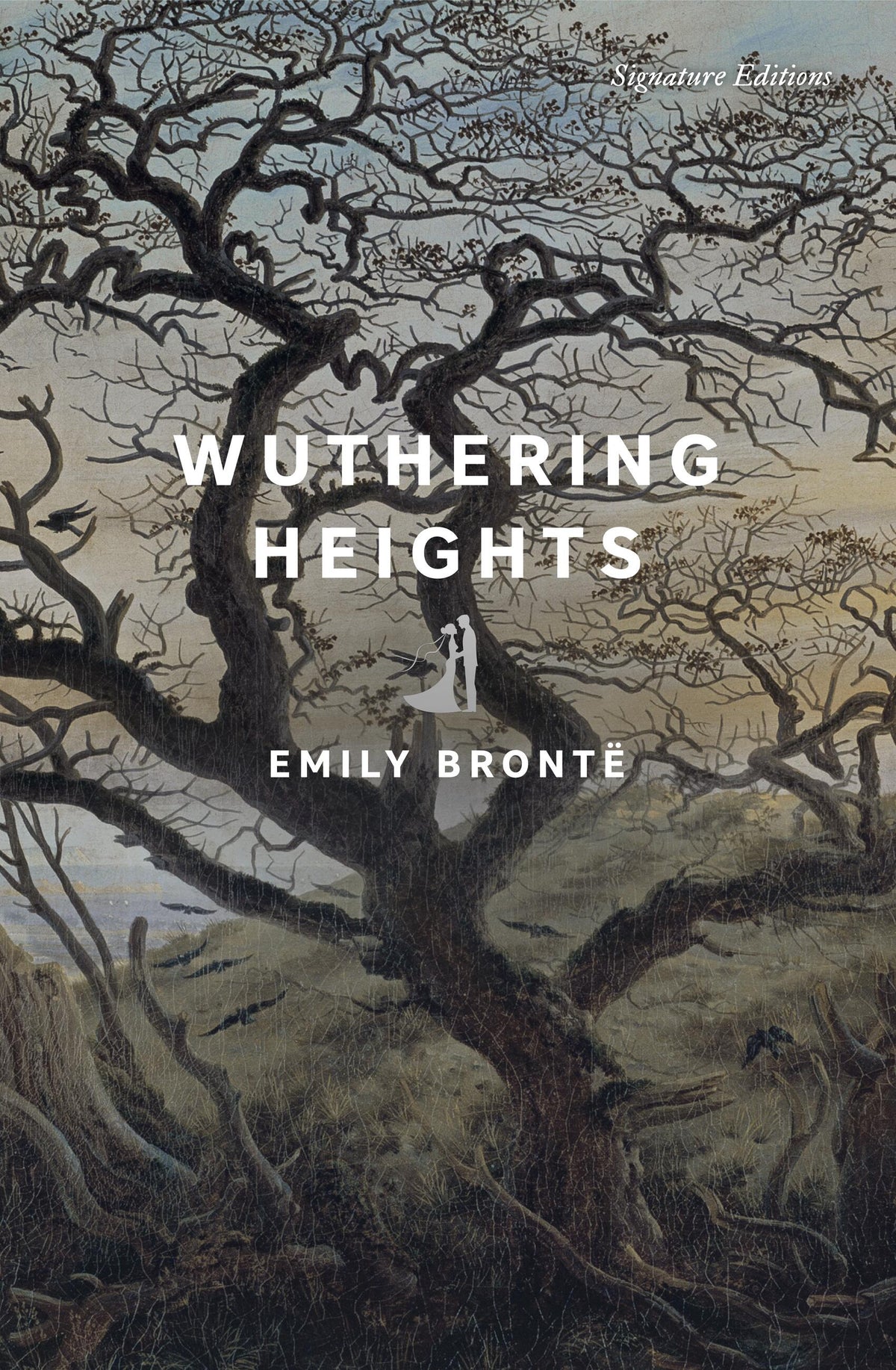 Cover of Wuthering Heights (ISBN 9781435171503)