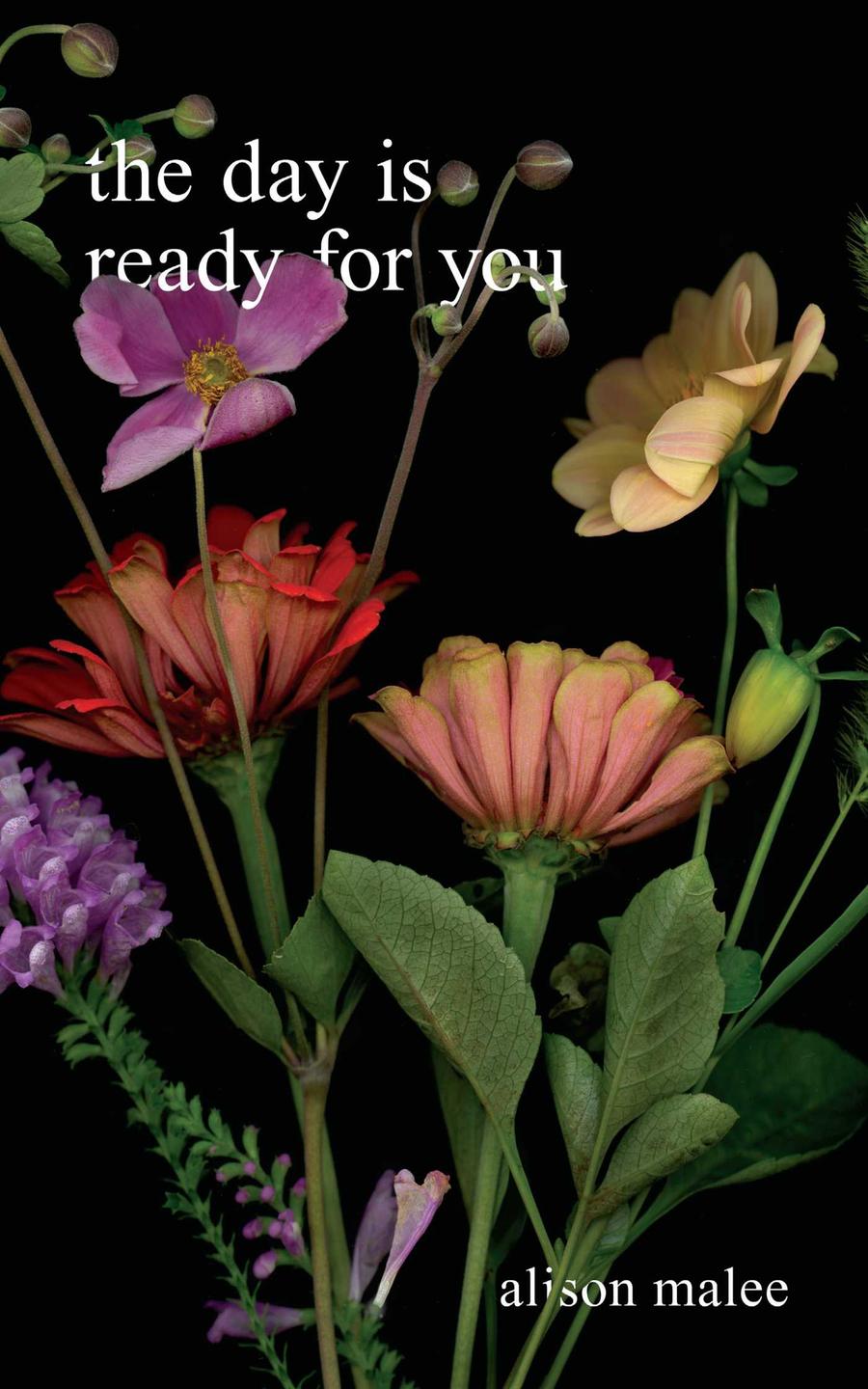 The Day Is Ready for You-Poetry-買書書 BuyBookBook