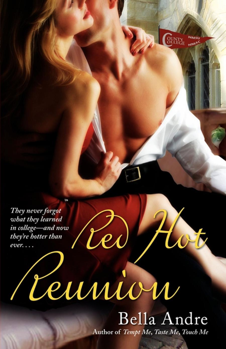 Red Hot Reunion-Fiction: Modern and contemporary-買書書 BuyBookBook