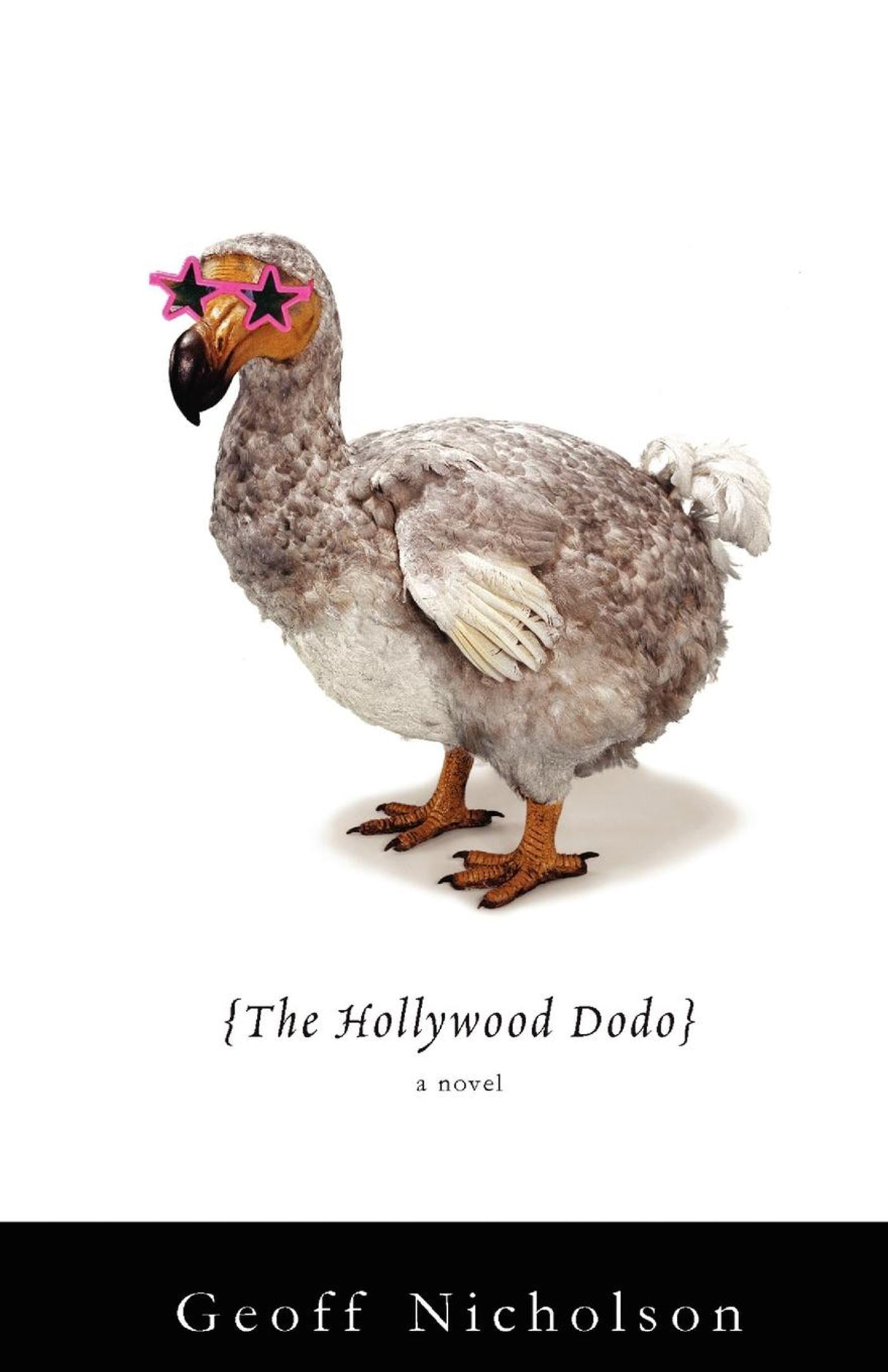 The Hollywood Dodo-Fiction: general and literary-買書書 BuyBookBook
