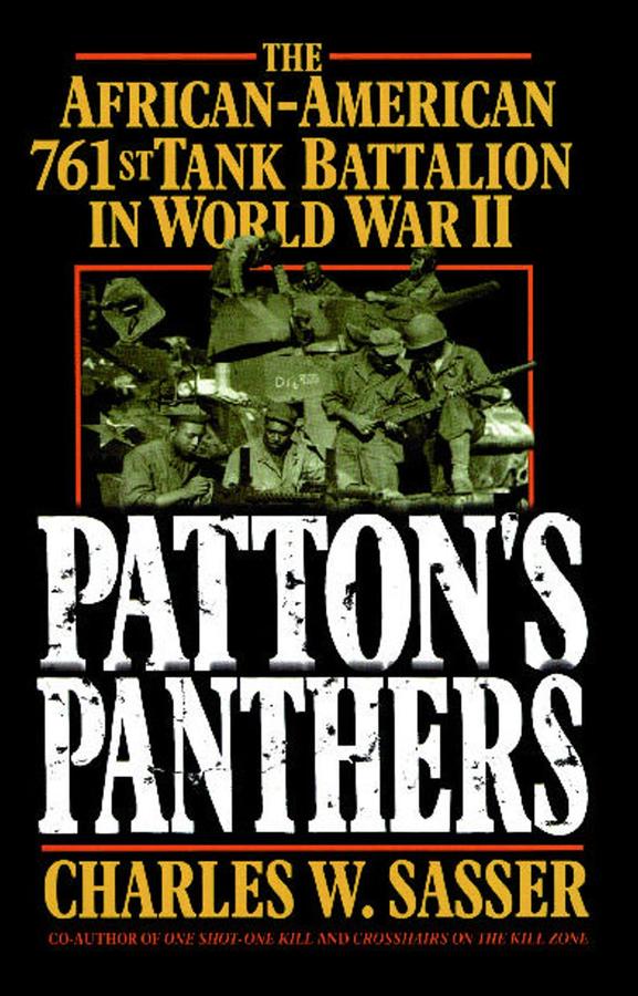 Patton's Panthers-History and Archaeology-買書書 BuyBookBook