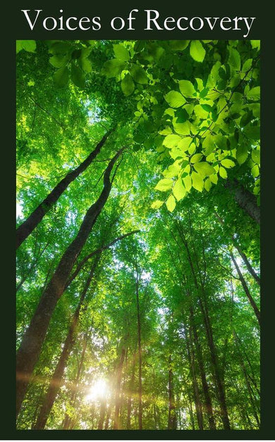 Voices of Recovery-Self-help/ personal development/ practical advice-買書書 BuyBookBook