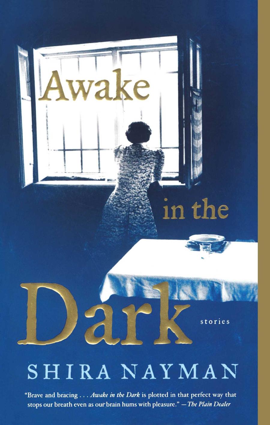 Awake in the Dark-Fiction: Modern and contemporary-買書書 BuyBookBook