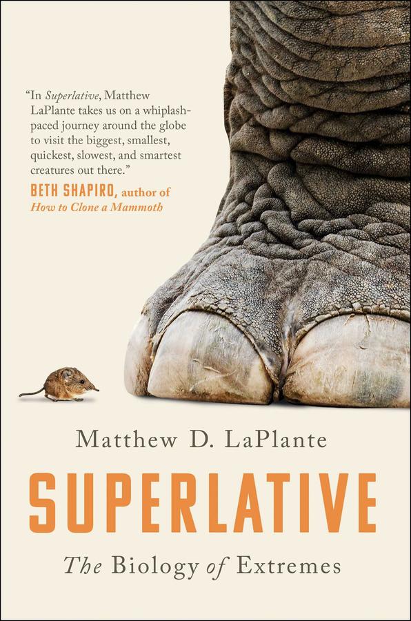 Superlative-Mathematics and Science-買書書 BuyBookBook