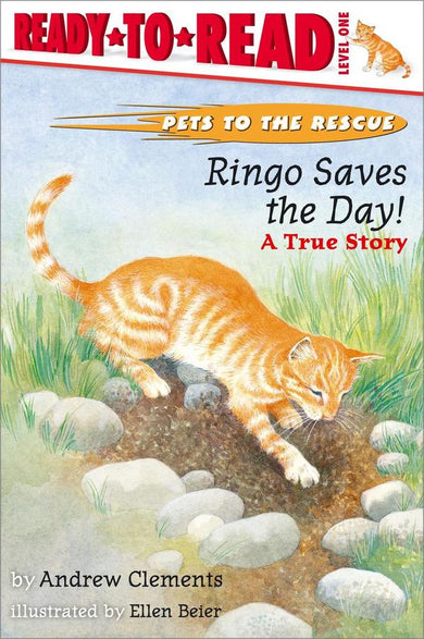 Ringo Saves The Day!-Children’s / Teenage reference material-買書書 BuyBookBook