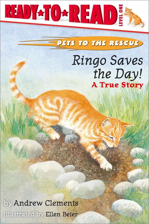 Ringo Saves The Day!-Children’s / Teenage reference material-買書書 BuyBookBook