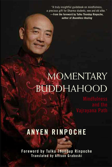 Momentary Buddhahood-Religion and beliefs-買書書 BuyBookBook