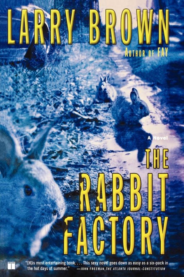The Rabbit Factory-Fiction: general and literary-買書書 BuyBookBook