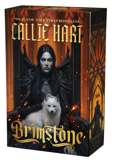 Cover of Brimstone (ISBN 9781538774236)