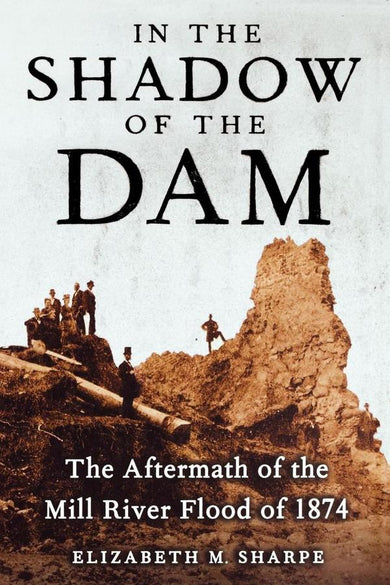 In the Shadow of the Dam-History and Archaeology-買書書 BuyBookBook
