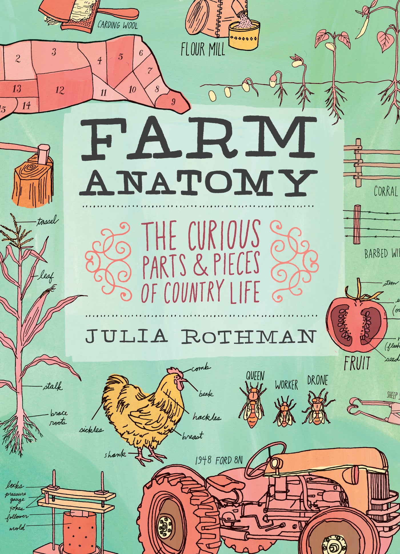 Farm Anatomy-Technology/ Engineering/ Industrial processes-買書書 BuyBookBook