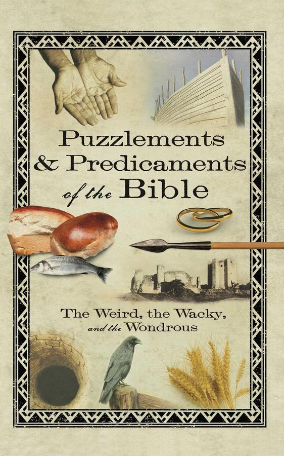 Puzzlements & Predicaments of the Bible-Religion and beliefs-買書書 BuyBookBook