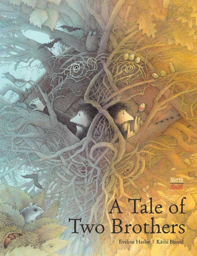A Tale of Two Brothers-Children’s / Teenage fiction: General and modern fiction-買書書 BuyBookBook
