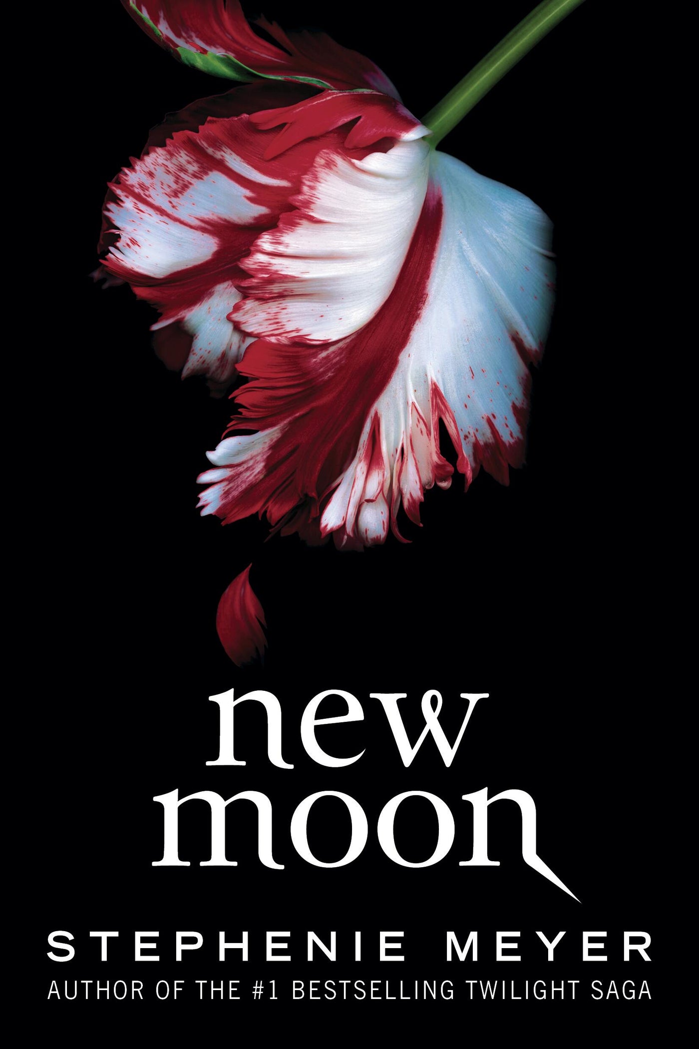 New Moon-Children’s / Teenage fiction: Horror and ghost stories, chillers, or other scary supernatural stories-買書書 BuyBookBook