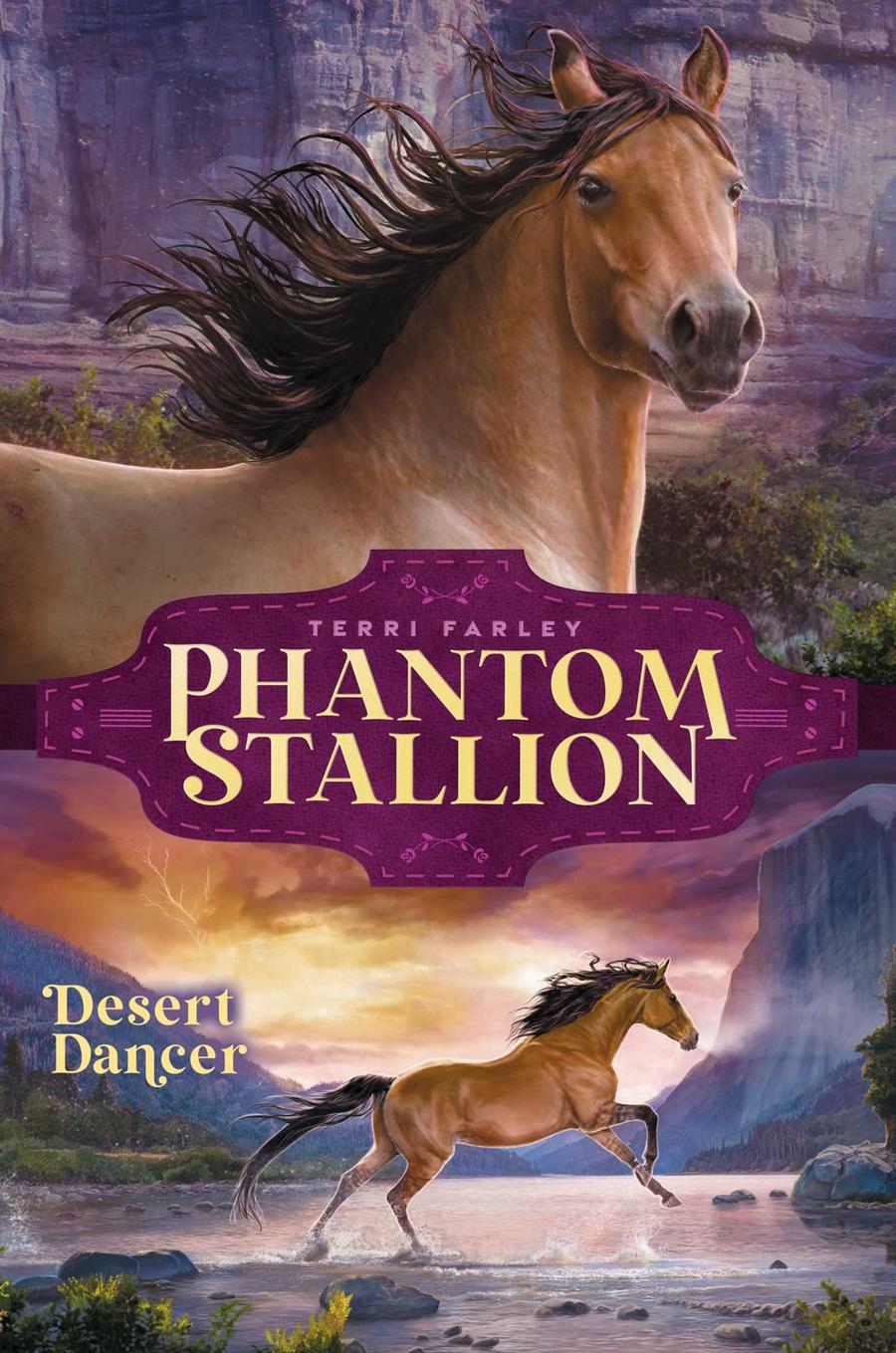 Desert Dancer-Children’s / Teenage fiction: Nature and animal stories-買書書 BuyBookBook