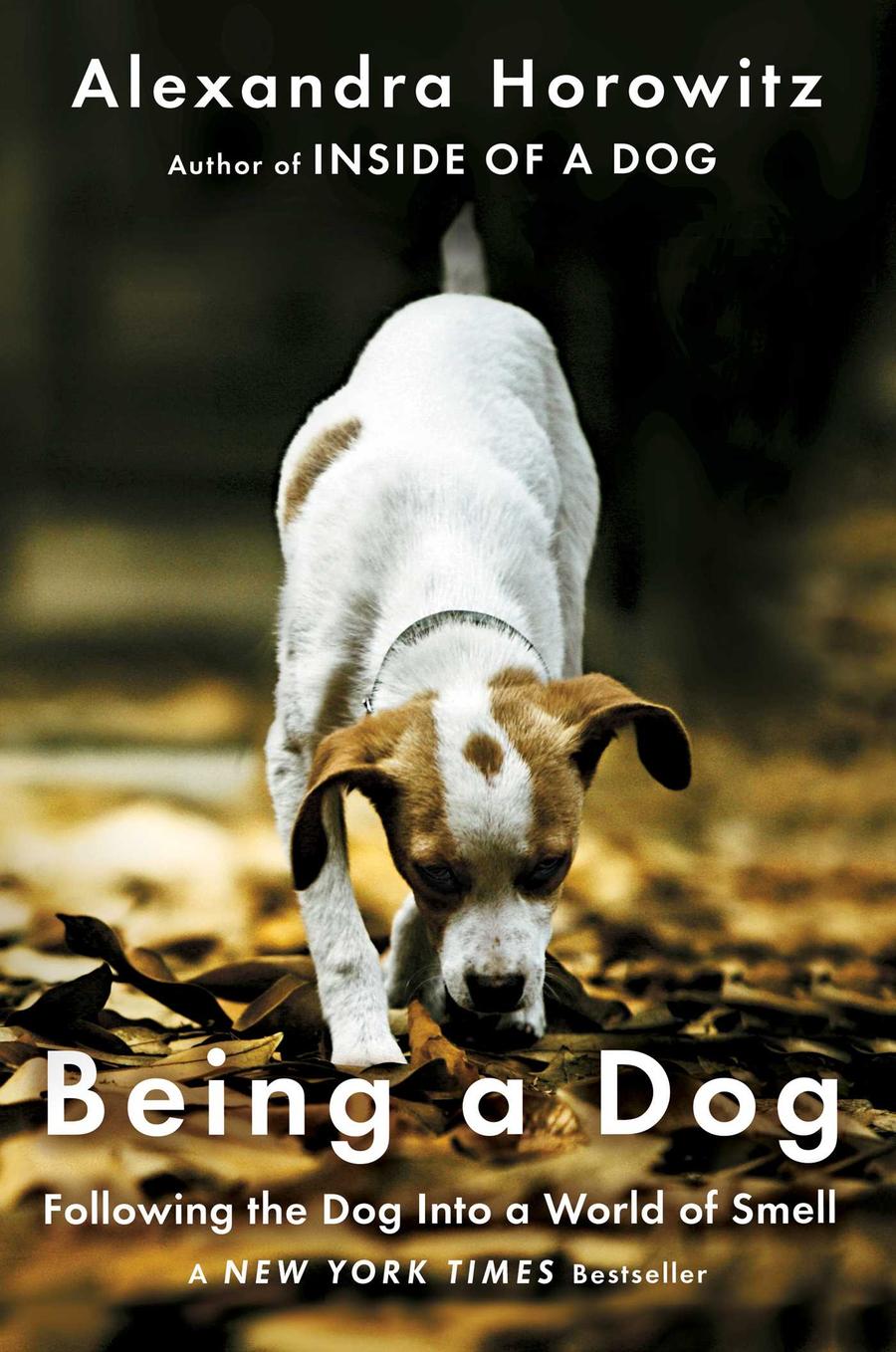 Being a Dog-Nature and the natural world: general interest-買書書 BuyBookBook
