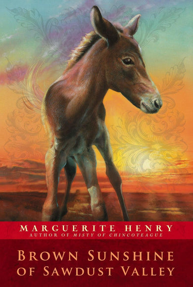 Brown Sunshine of Sawdust Valley-Children’s / Teenage fiction: General and modern fiction-買書書 BuyBookBook