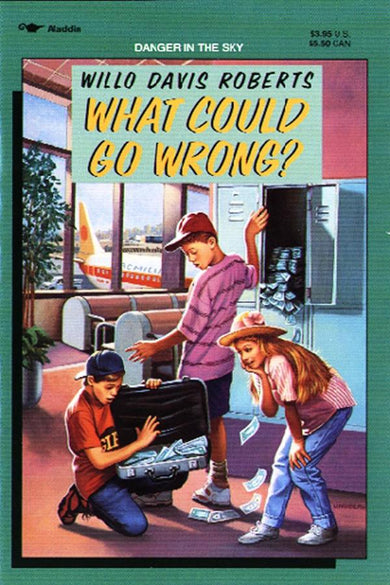 What Could Go Wrong?-Children’s / Teenage fiction: Crime and mystery fiction-買書書 BuyBookBook