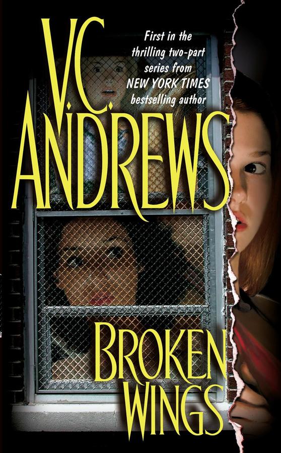 Broken Wings-Fiction: general and literary-買書書 BuyBookBook