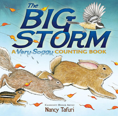 The Big Storm-Children’s / Teenage fiction: General and modern fiction-買書書 BuyBookBook
