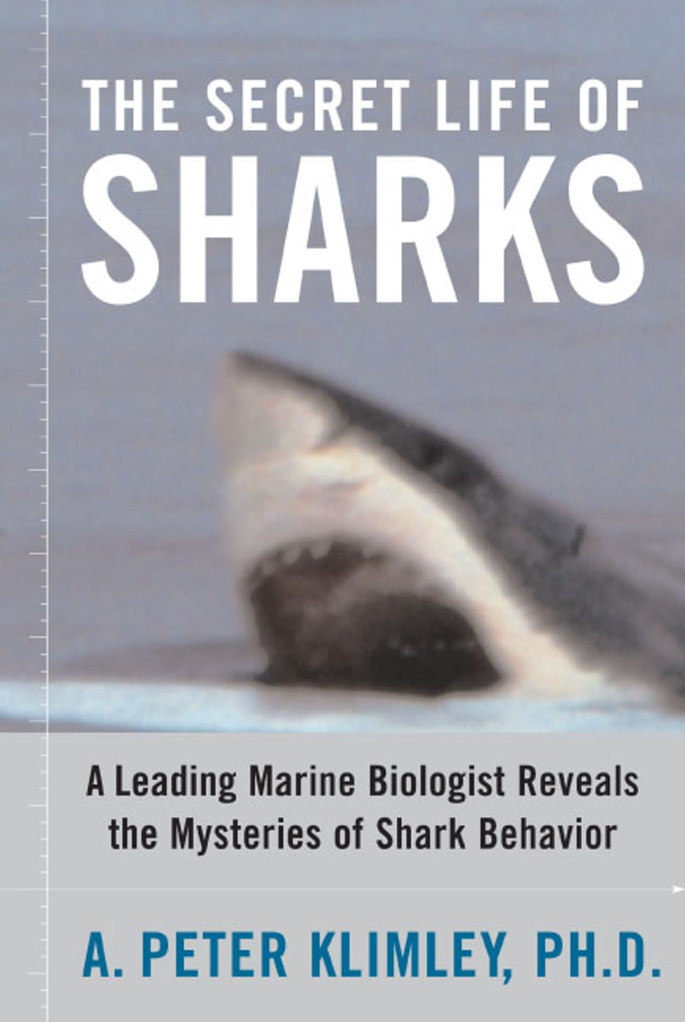 The Secret Life of Sharks-Nature and the natural world: general interest-買書書 BuyBookBook