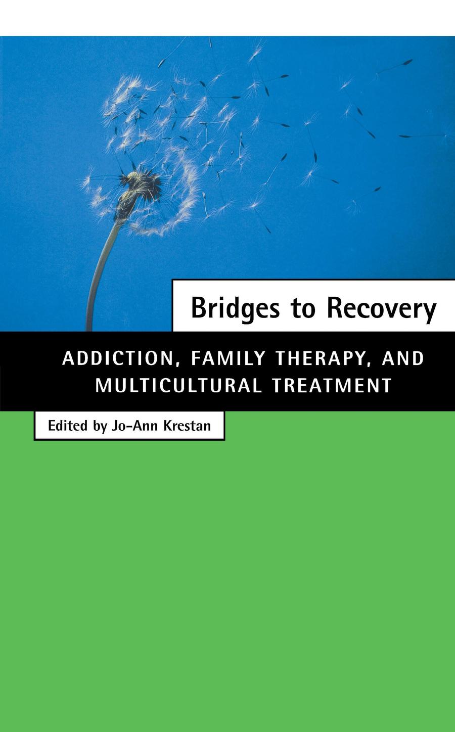 Bridges to Recovery-Medicine and Nursing-買書書 BuyBookBook