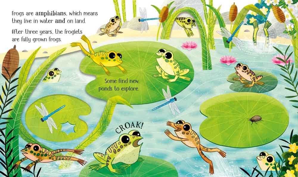 One Little Frog - 買書書 BuyBookBook