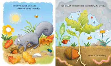 One Little Tree - 買書書 BuyBookBook