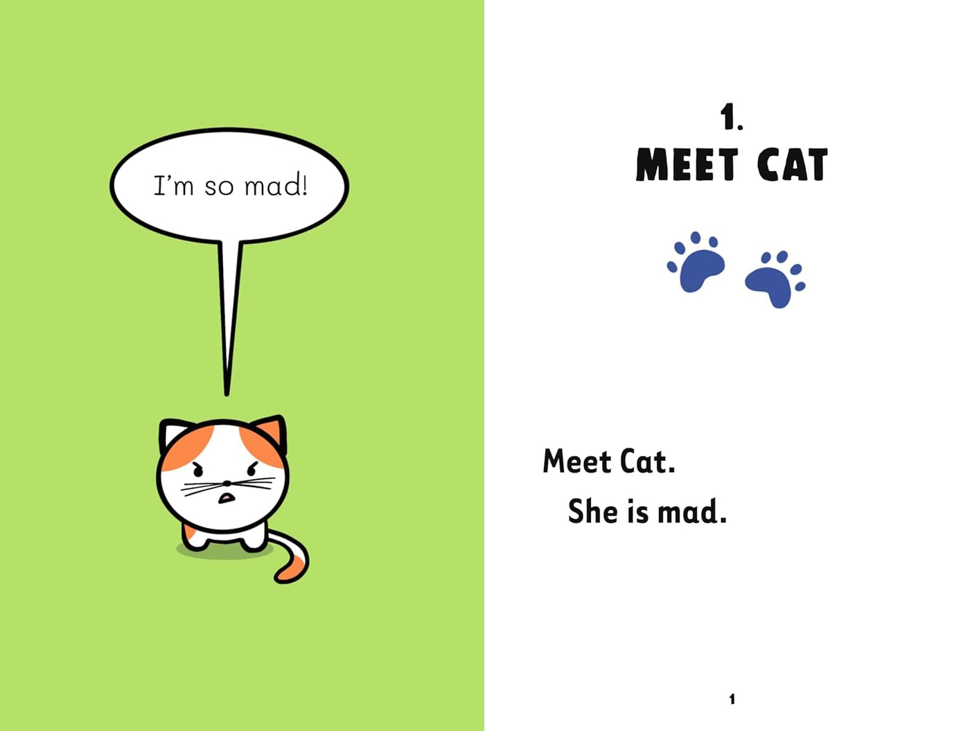 One Mad Cat and the Missing Book