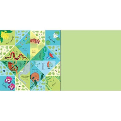 Origami fortune tellers Usborne