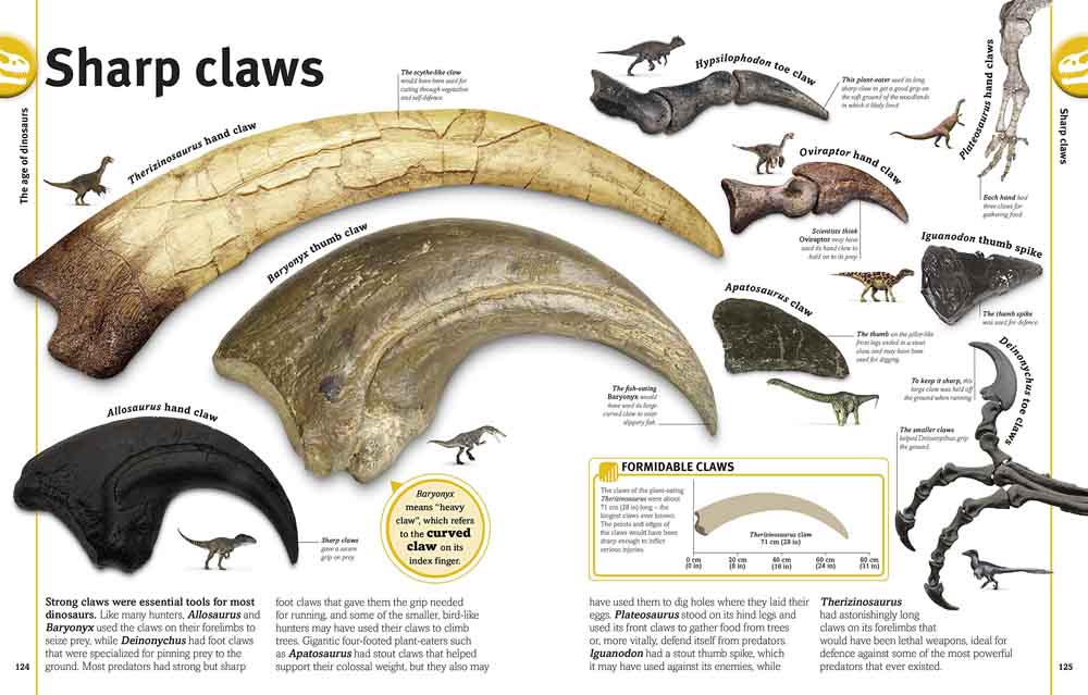 Our World in Pictures - The Dinosaurs Book-Nonfiction: 動物植物 Animal & Plant-買書書 BuyBookBook